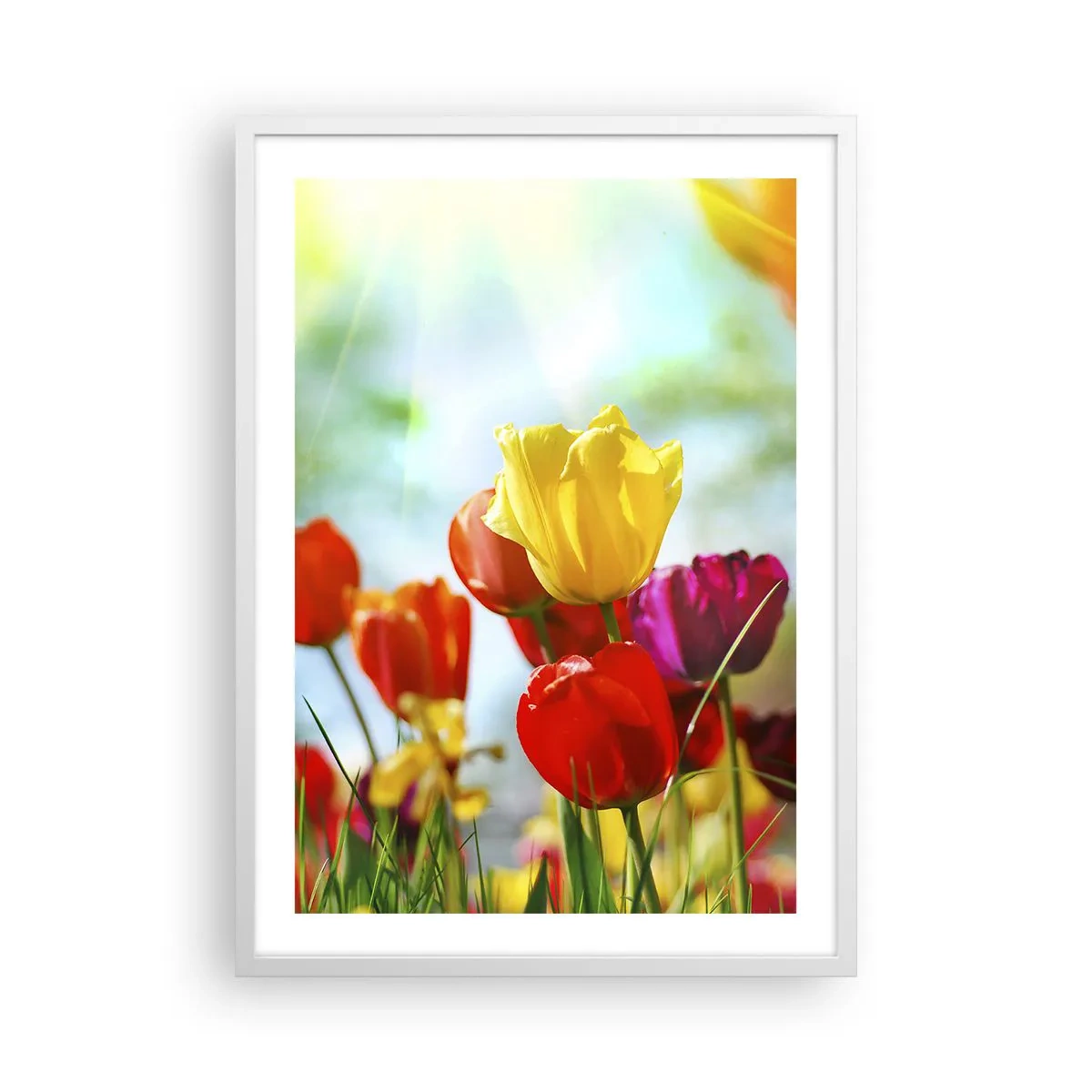 Affiche dans un cadre blanc - Poster - Toutes les couleurs du soleil - 50x70 cm