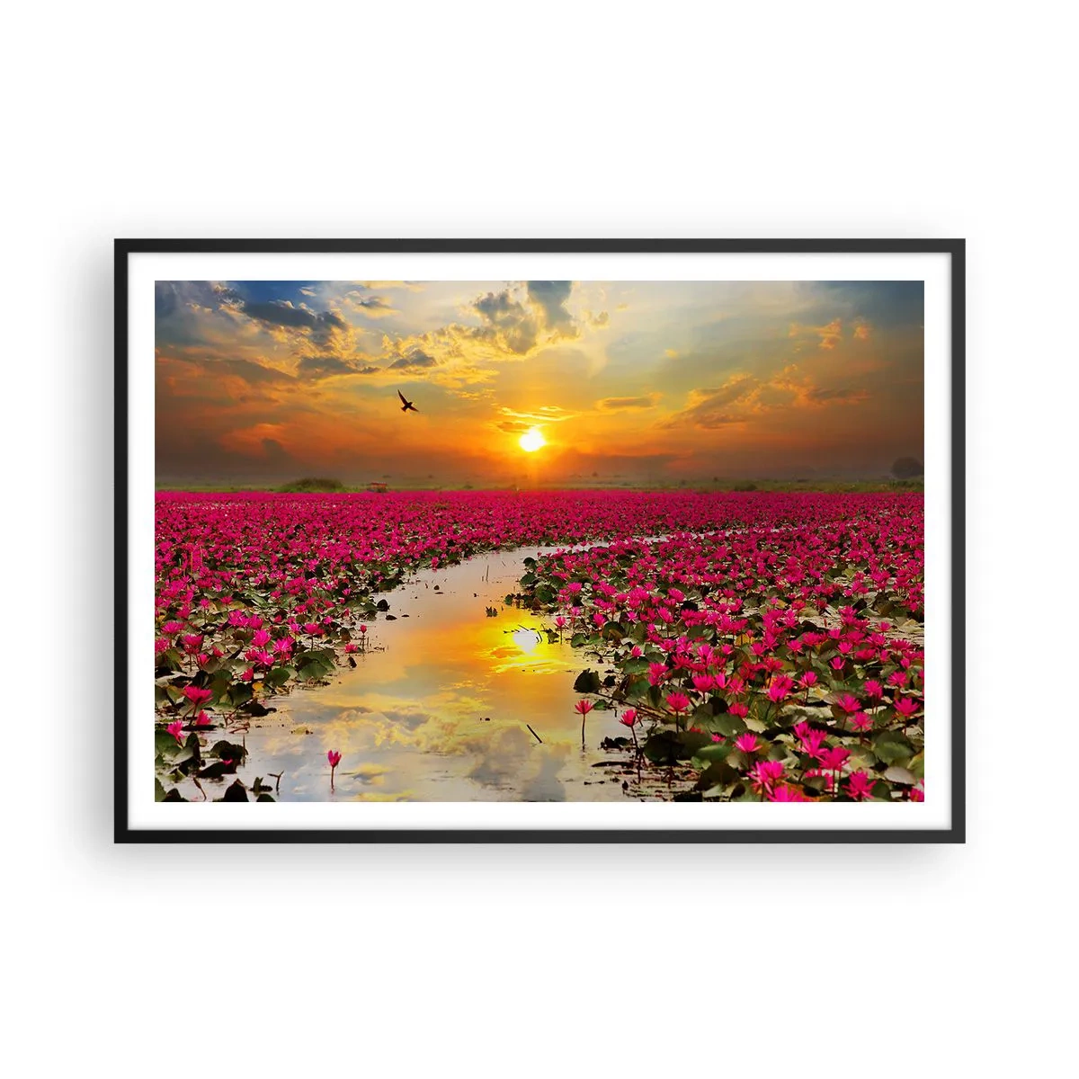 Affiche dans un cadre noir - Poster - Un champ de nénuphars roses au coucher du soleil - 100x70cm - La vie secrète du lac - Décoration murale moderne pour le salon et la chambre ARTTOR