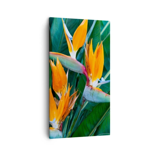 Impression sur toile - Image sur toile - Est-ce une fleur, est-ce un oiseaux? - 45x80 cm