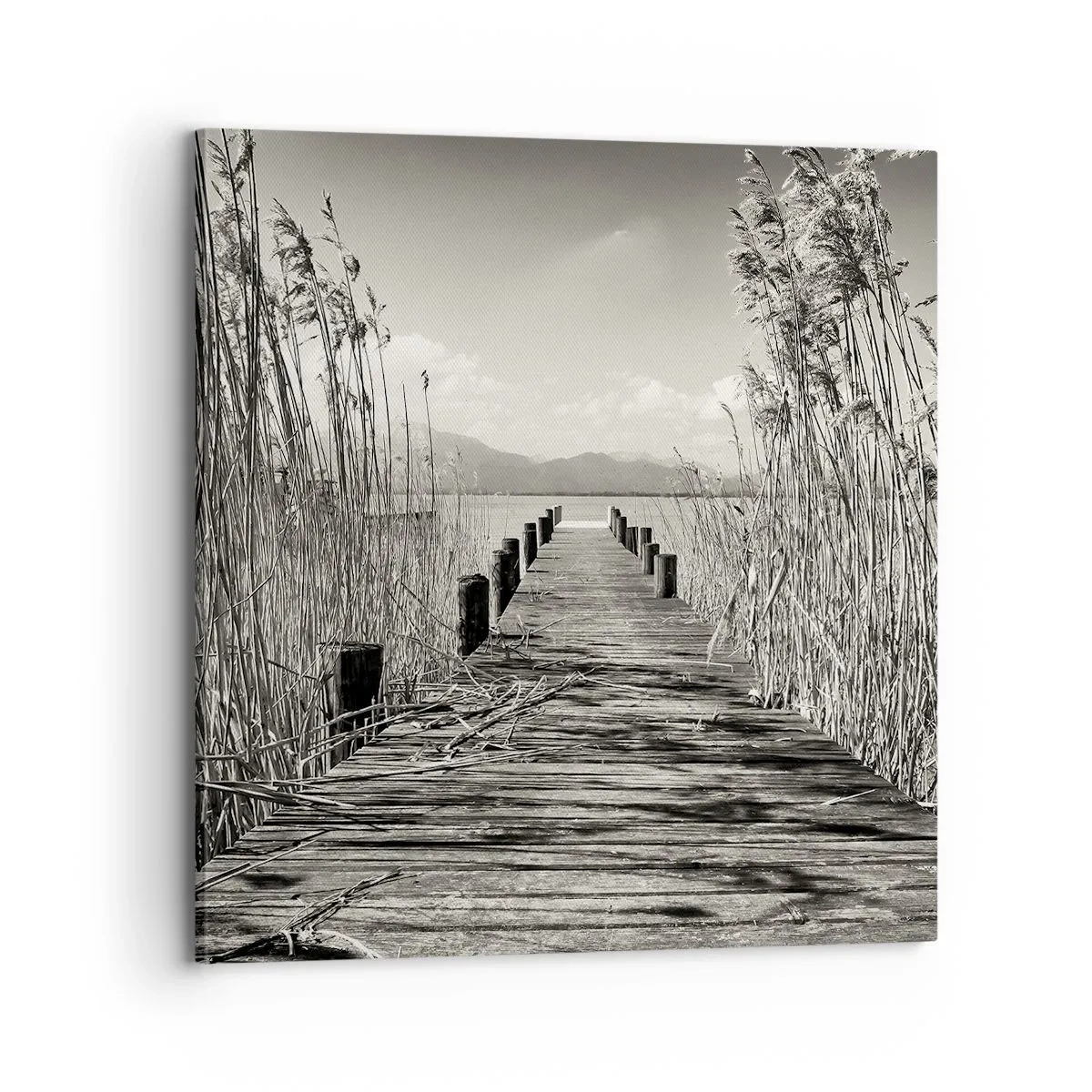 Impression sur toile - Image sur toile - Dans le calme de l'herbe - 70x70 cm