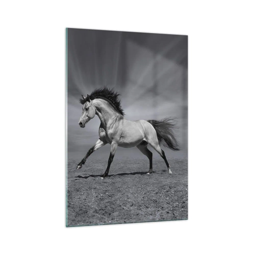Impression sur verre - Image sur verre - Un cheval noir et blanc dans une pose dynamique dans le désert. - 70x100cm - Né pour séduire - Décoration murale moderne pour le salon et la chambre ARTTOR