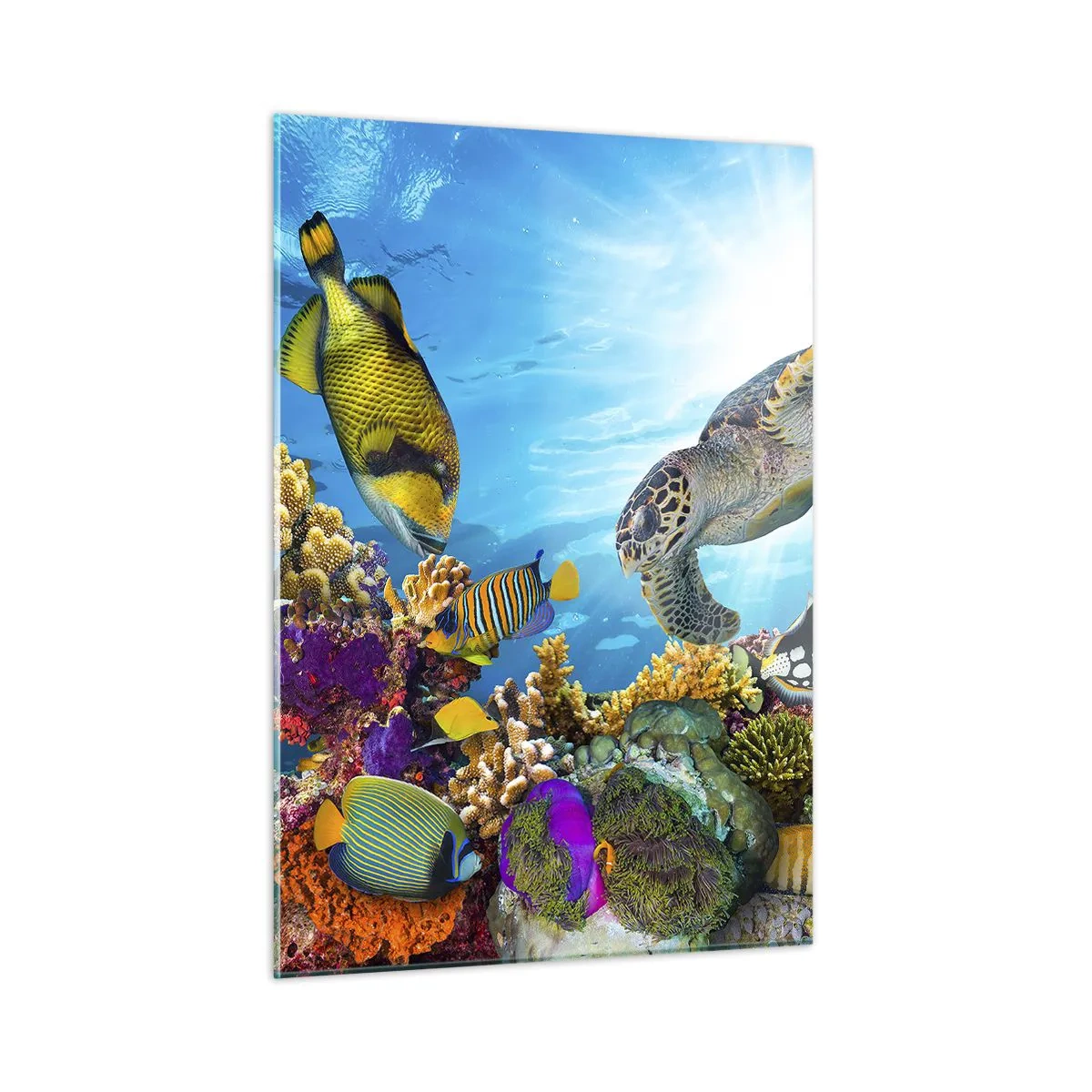 Impression sur verre - Image sur verre - Scène sous-marine avec tortue, poissons et coraux - 50x70cm - Promenade de corail - Décoration murale moderne pour le salon et la chambre ARTTOR