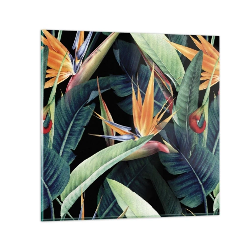 Impression sur verre - Image sur verre - Fleurs flamboyantes des tropiques - 30x30 cm