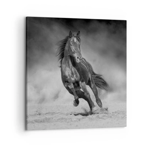 Impression sur toile - Image sur toile - Digne de l'émir lui-même - 60x60 cm