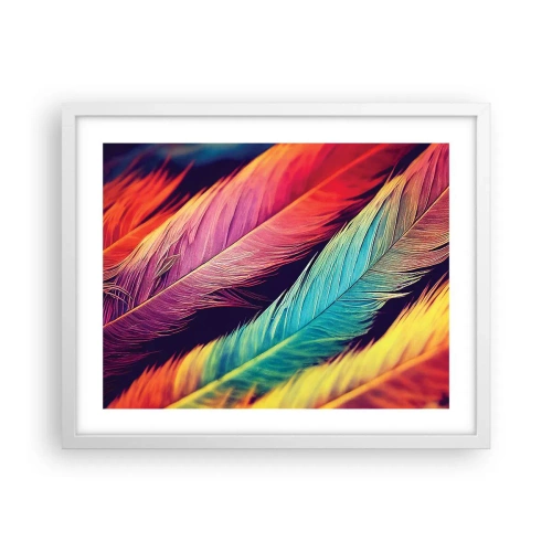 Affiche dans un cadre blanc - Poster - Arc-en-ciel de plumes - 50x40 cm