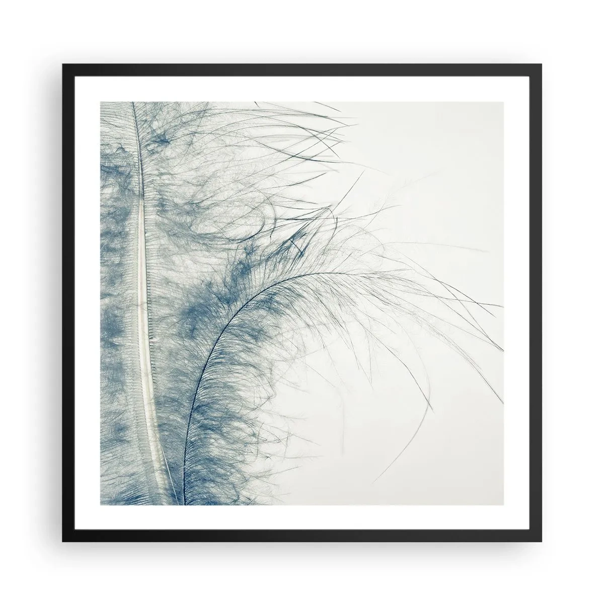 Affiche dans un cadre noir - Poster - Les sept natures - 60x60 cm