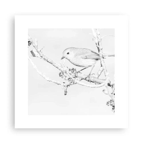 Affiche - Poster - Matin d'hiver - 30x30 cm