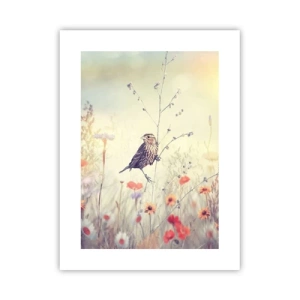 Affiche - Poster - Portrait d'oiseau sur pré en fond - 30x40 cm