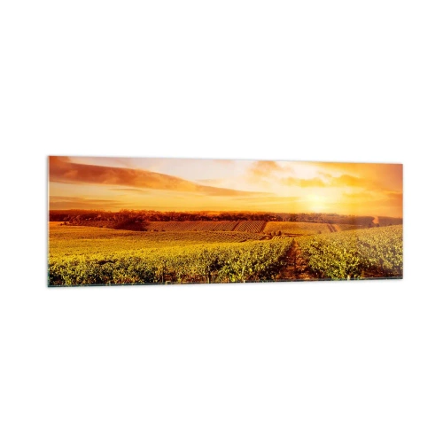 Impression sur verre - Image sur verre - Vignoble au coucher du soleil avec des tons de ciel chauds - 160x50cm - Légèrement fruité avec une pointe de soleil - Décoration murale moderne pour le salon et la chambre ARTTOR