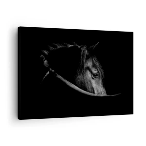 Impression sur toile - Image sur toile - Portrait en noir et blanc d'un cheval avec un jeu subtil de lumière et d'ombre sur un fond sombre. - 70x50cm - Prince Noir - Décoration murale moderne pour le salon et la chambre ARTTOR