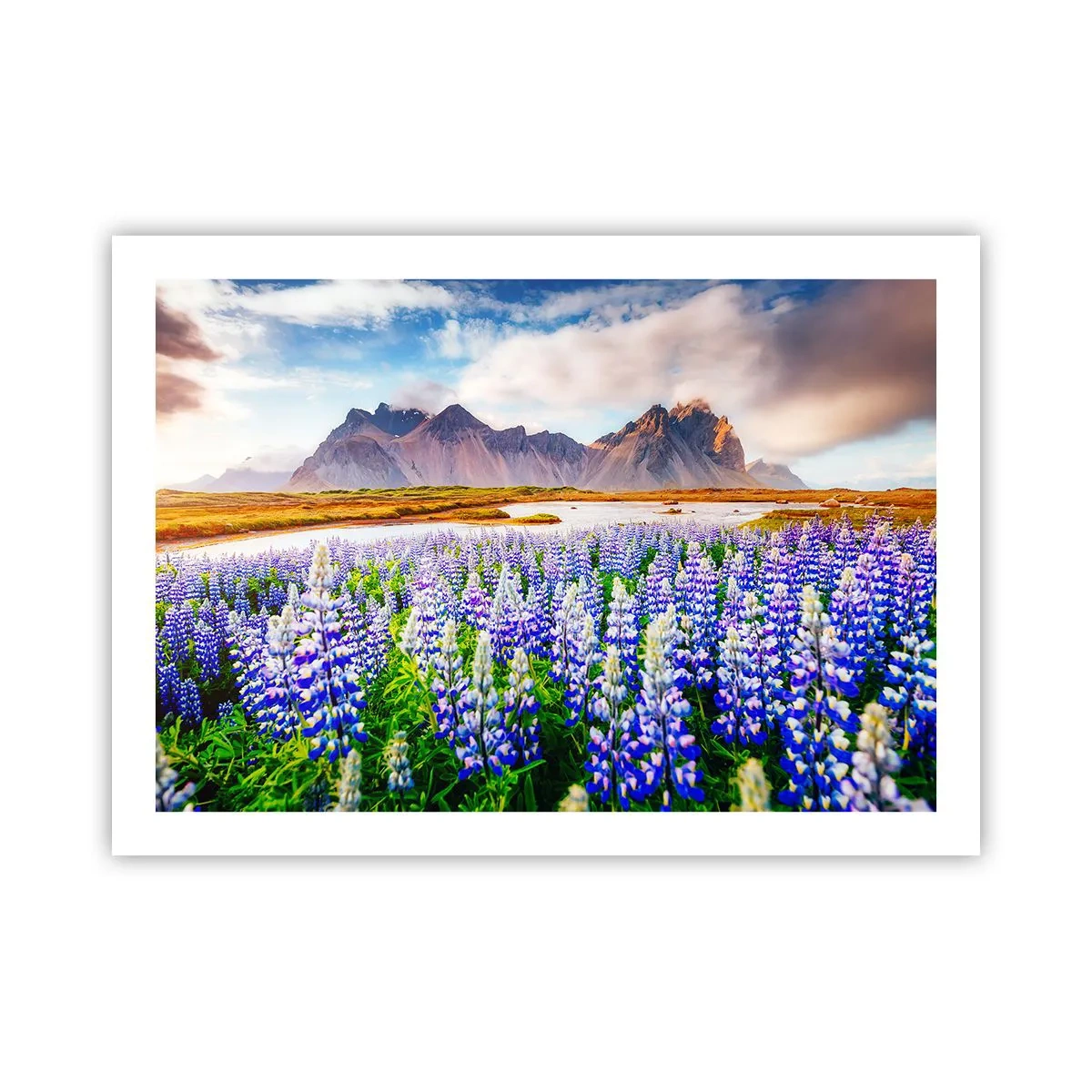 Affiche - Poster - La force et l'austérité côtoient la douceur - 70x50 cm