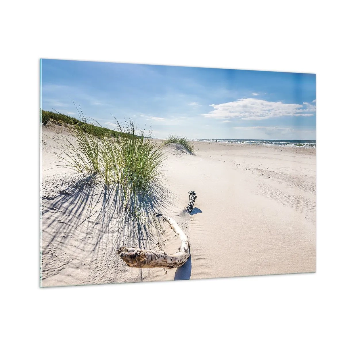 Impression sur verre - Image sur verre - Une plage ensoleillée avec des dunes et des herbiers marins - 100x70cm - La plus belle? La Baltique - Décoration murale moderne pour le salon et la chambre ARTTOR