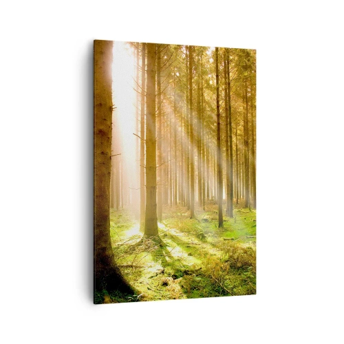 Impression sur toile - Image sur toile - Forêt de conifères avec les rayons du soleil qui brillent à travers les arbres - 70x100cm - Les elfes vont bientôt apparaître - Décoration murale moderne pour le salon et la chambre ARTTOR