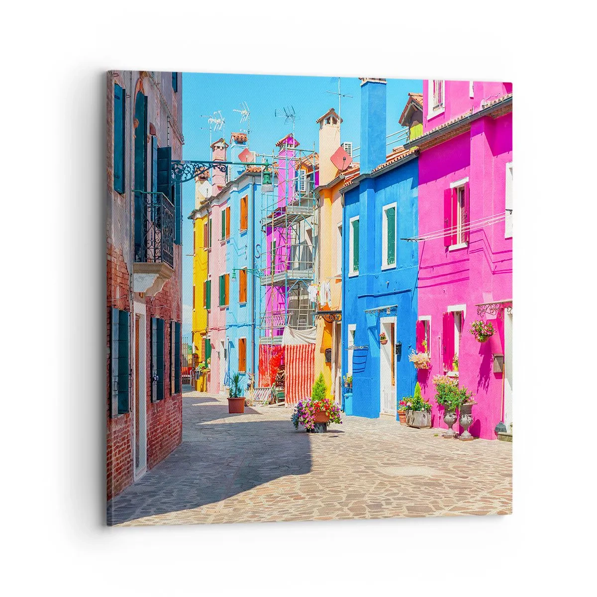 Impression sur toile - Image sur toile - Ville "Sous les perroquets" - 70x70 cm