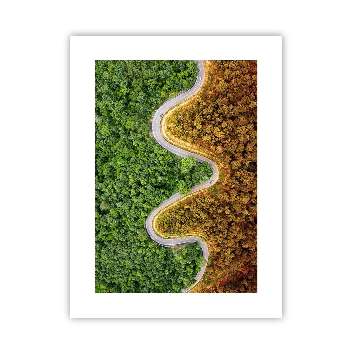 Affiche - Poster - Frontieres et differences - 30x40 cm