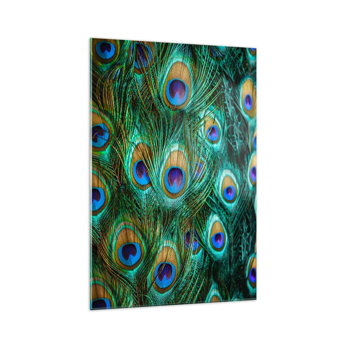 Impression sur verre - Image sur verre - Détails des plumes de paon aux couleurs riches - 70x100cm - Un regard de paon - Décoration murale moderne pour le salon et la chambre ARTTOR