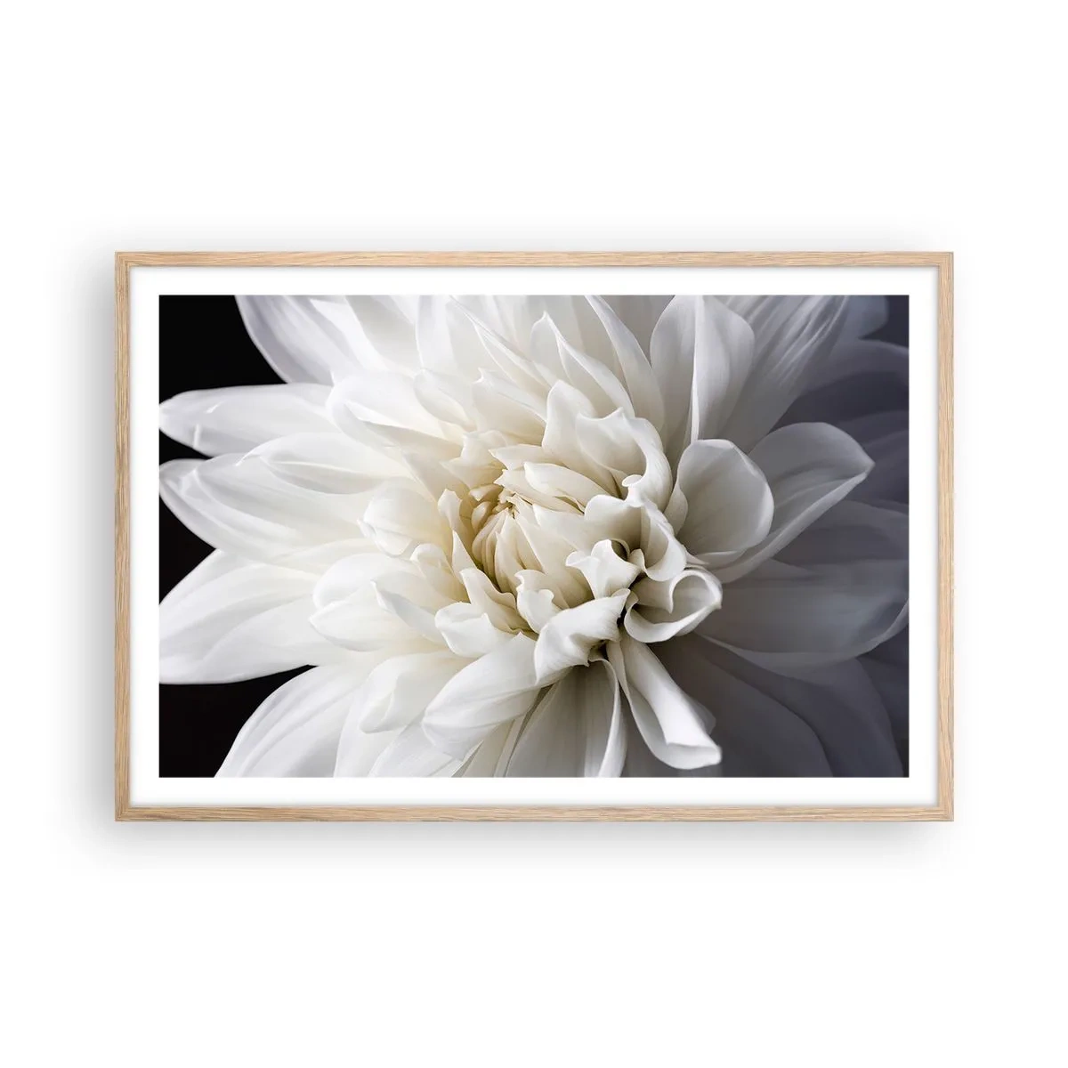 Affiche dans un chêne clair - Poster - Le matin de la jeune mariéé - 91x61 cm