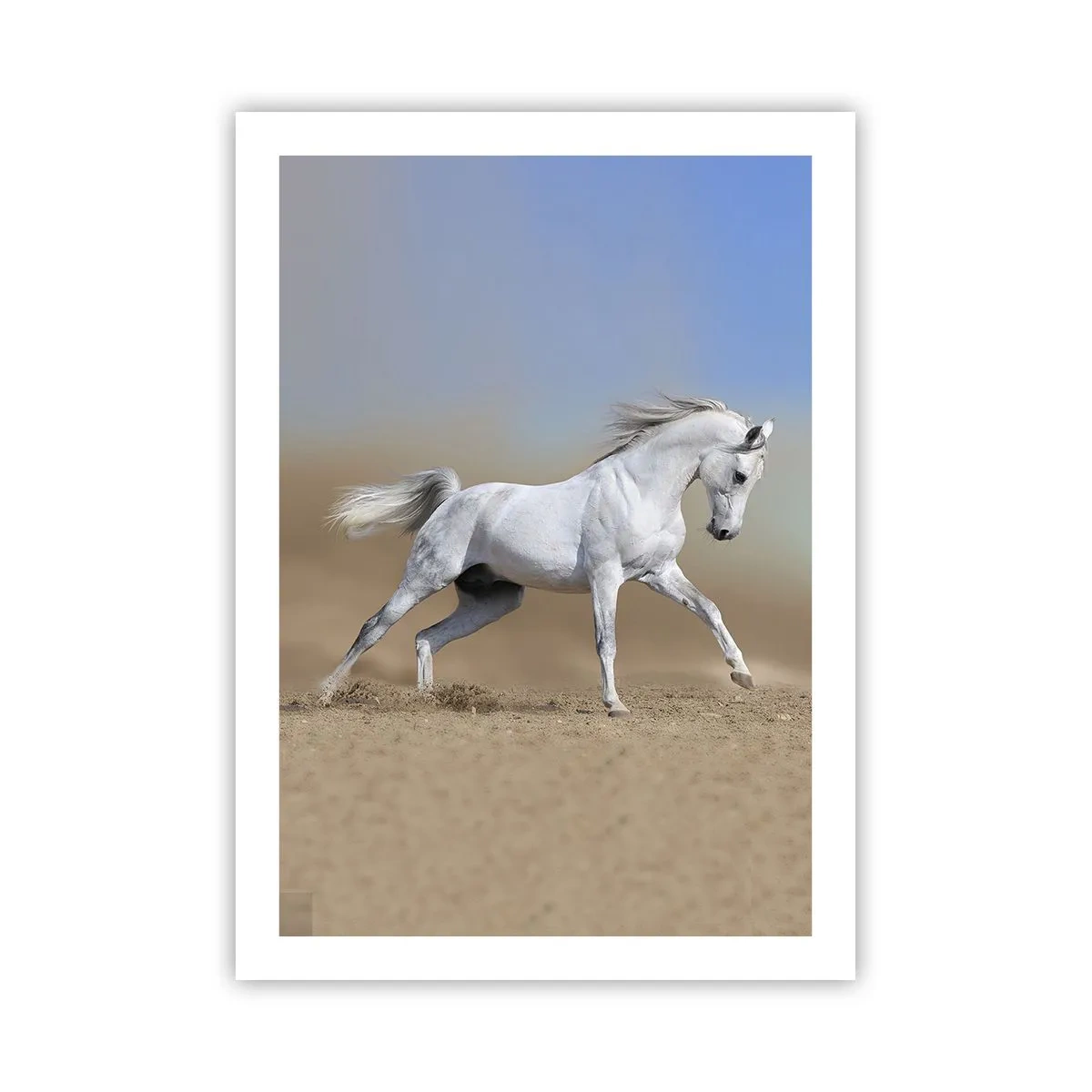 Affiche - Poster - Un cheval blanc galopant sur un fond de désert - 50x70cm - Le plus beau conte de fées arabe - Décoration murale moderne pour le salon et la chambre ARTTOR