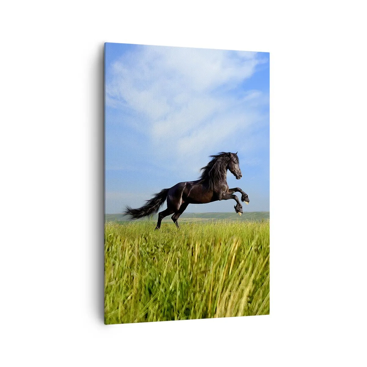 Impression sur toile - Image sur toile - Un cheval noir courant contre un ciel bleu et une prairie verte - 80x120cm - Un manifeste de liberté passionnant - Décoration murale moderne pour le salon et la chambre ARTTOR