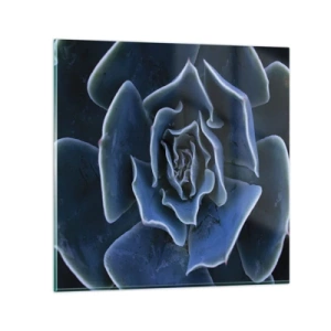 Impression sur verre - Image sur verre - Fleur du désert - 70x70 cm