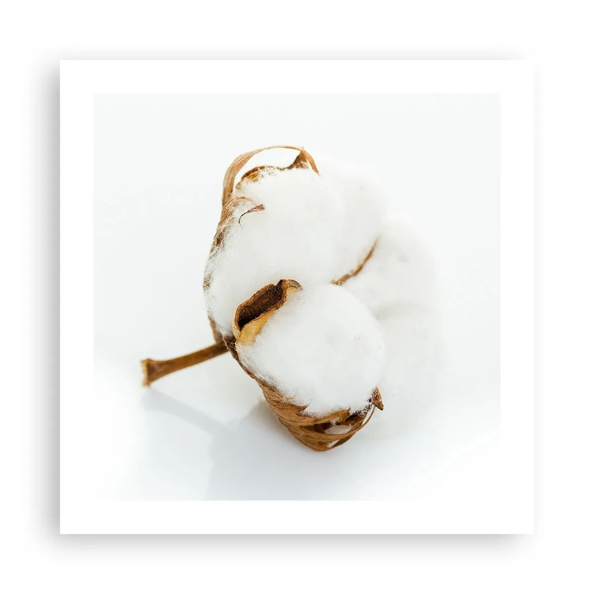 Affiche - Poster - Doux par nature - 50x50 cm