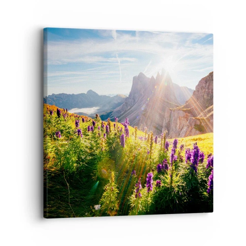 Impression sur toile - Image sur toile - La vie secrète des herbes - 30x30 cm