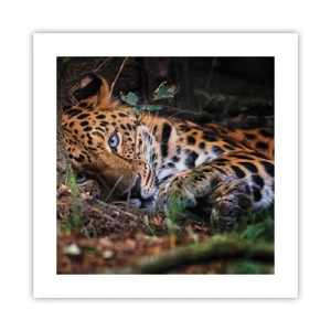 Affiche - Poster - Fais-moi confiance - 40x40 cm