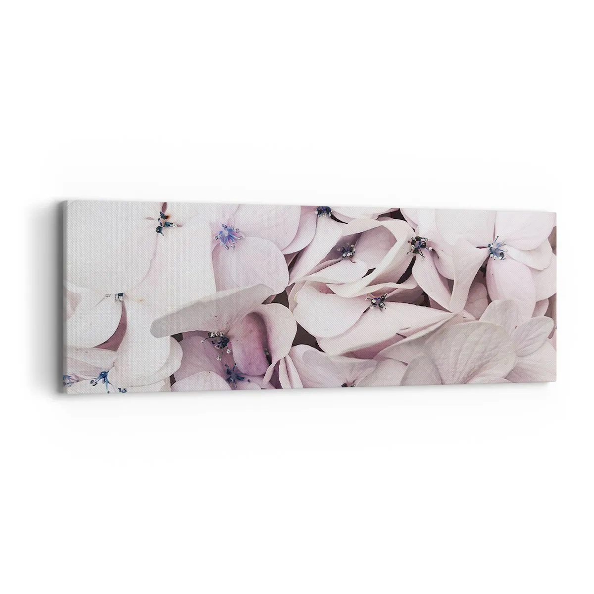 Impression sur toile - Image sur toile - Dans un flot de fleurs - 90x30 cm