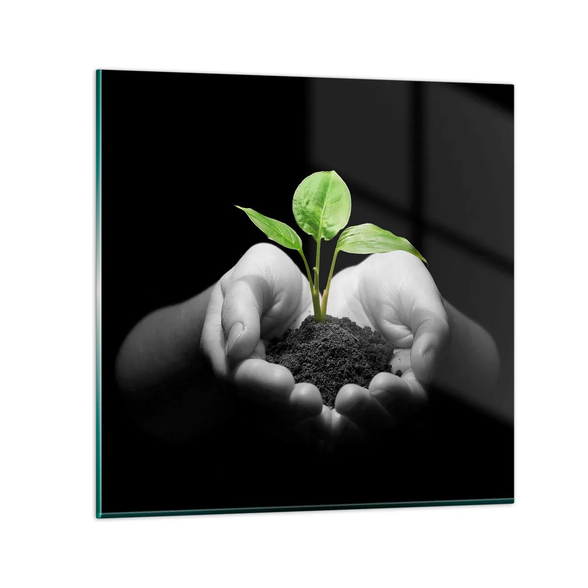 Impression sur verre - Image sur verre - J'aime la nature, je la protège - 60x60 cm