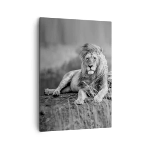 Impression sur toile - Image sur toile - Lion reposant sur un rocher dans un style monochrome - 50x70cm - Sieste royale - Décoration murale moderne pour le salon et la chambre ARTTOR