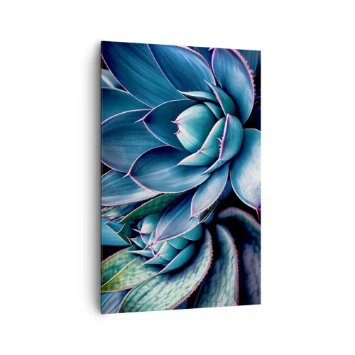 Impression sur toile - Image sur toile - Agave dans des tons de bleu et de vert avec des accents roses - 80x120cm - Force vital - Décoration murale moderne pour le salon et la chambre ARTTOR