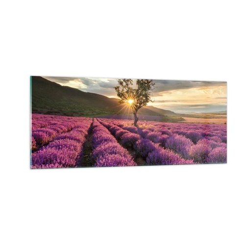 Impression sur verre - Image sur verre - Arôme de couleur lilas - 100x40 cm