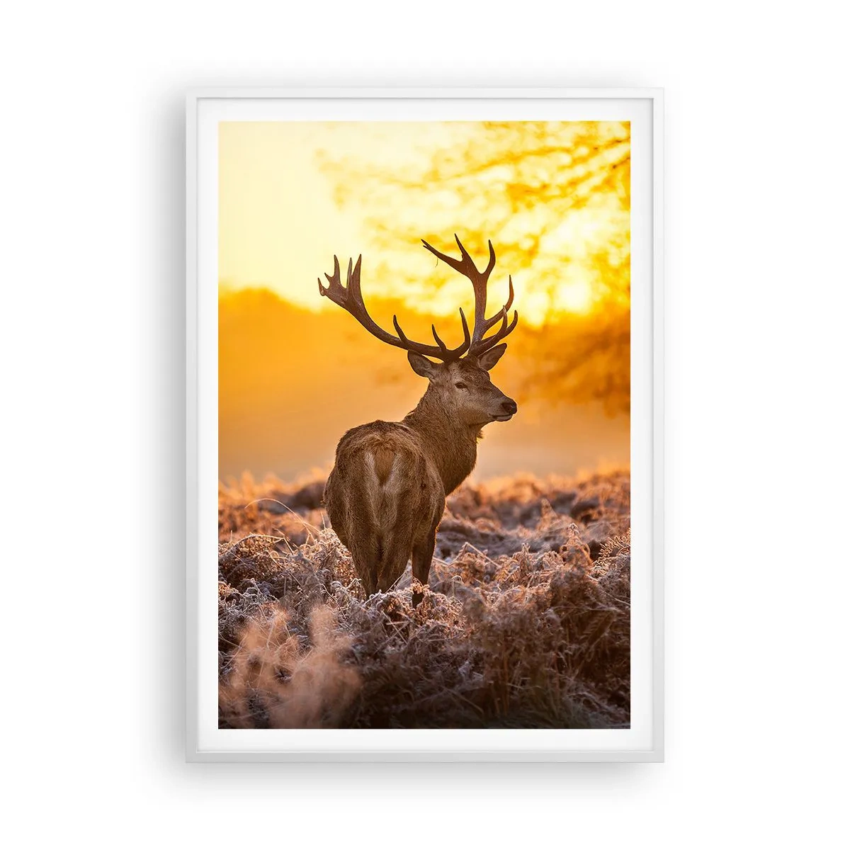 Affiche dans un cadre blanc - Poster - Roi de la forêt automnal - 70x100 cm