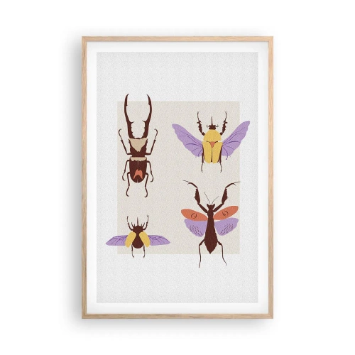 Affiche dans un chêne clair - Poster - Le monde des insectes - 61x91 cm