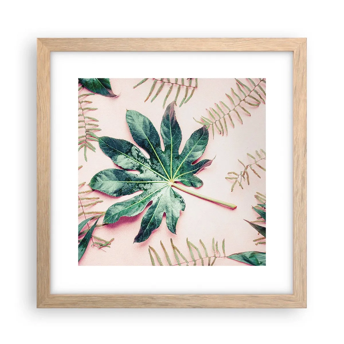 Affiche dans un chêne clair - Poster - Étude de verdure sur fond rose - 30x30 cm