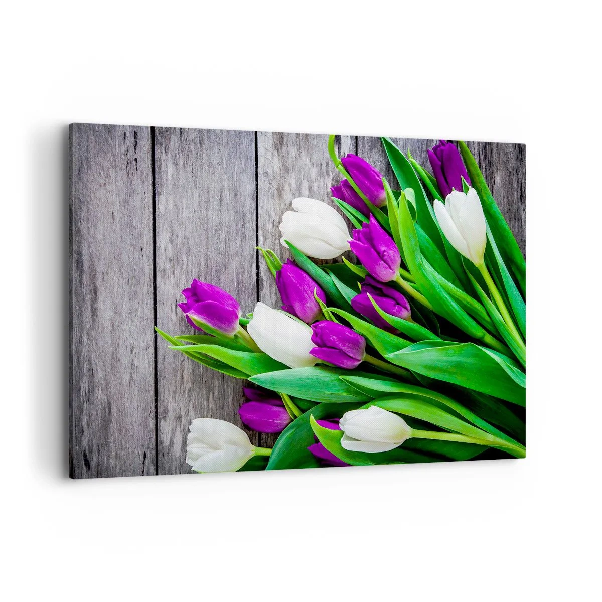 Impression sur toile - Image sur toile - Un bouquet de tulipes violettes et blanches sur un fond en bois - 120x80cm - Le jour des vacances de printemps - Décoration murale moderne pour le salon et la chambre ARTTOR