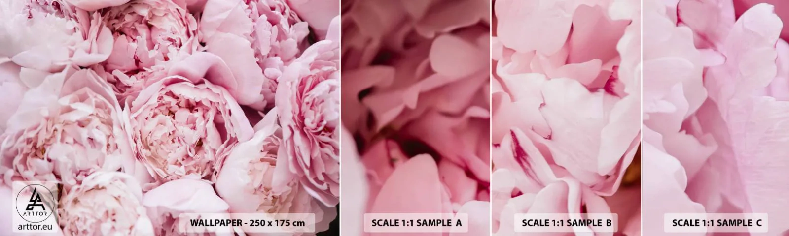 Échantillon de Papier Peint Autocollant Deluxe Sticker - Caliné et parfumé - Pivoine, Fleurs, Bouquet de fleurs - 100x30 cm