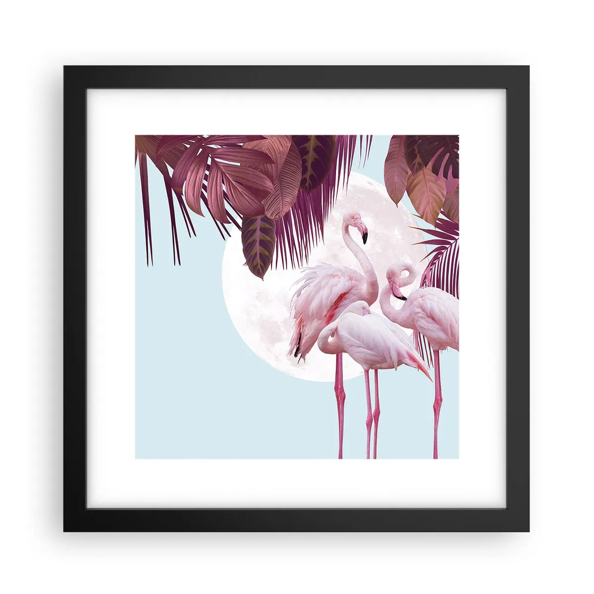 Affiche dans un cadre noir - Poster - Trois oiseaux gracieux - 30x30 cm