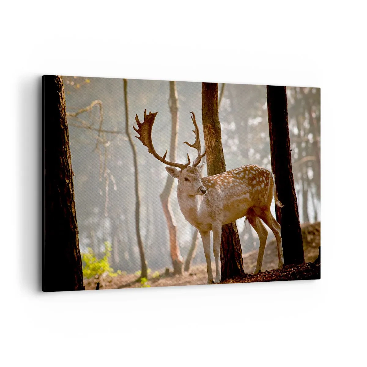 Impression sur toile - Image sur toile - Cerf dans la forêt dans le brouillard du matin - 120x80cm - La lumière de la jeunesse - Décoration murale moderne pour le salon et la chambre ARTTOR