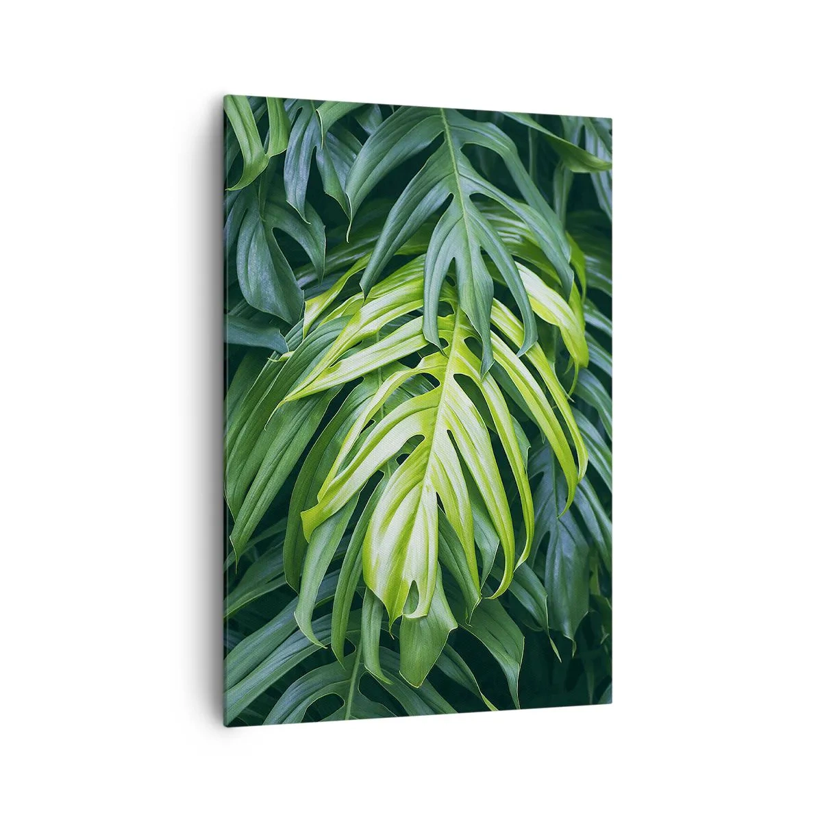 Impression sur toile - Image sur toile - Feuilles vertes dans un arrangement tropical dense - 70x100cm - Immergez-vous dans la fraîcheur - Décoration murale moderne pour le salon et la chambre ARTTOR