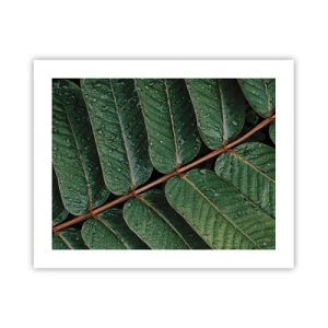 Affiche - Poster - Au rythme de la verdure - 50x40 cm