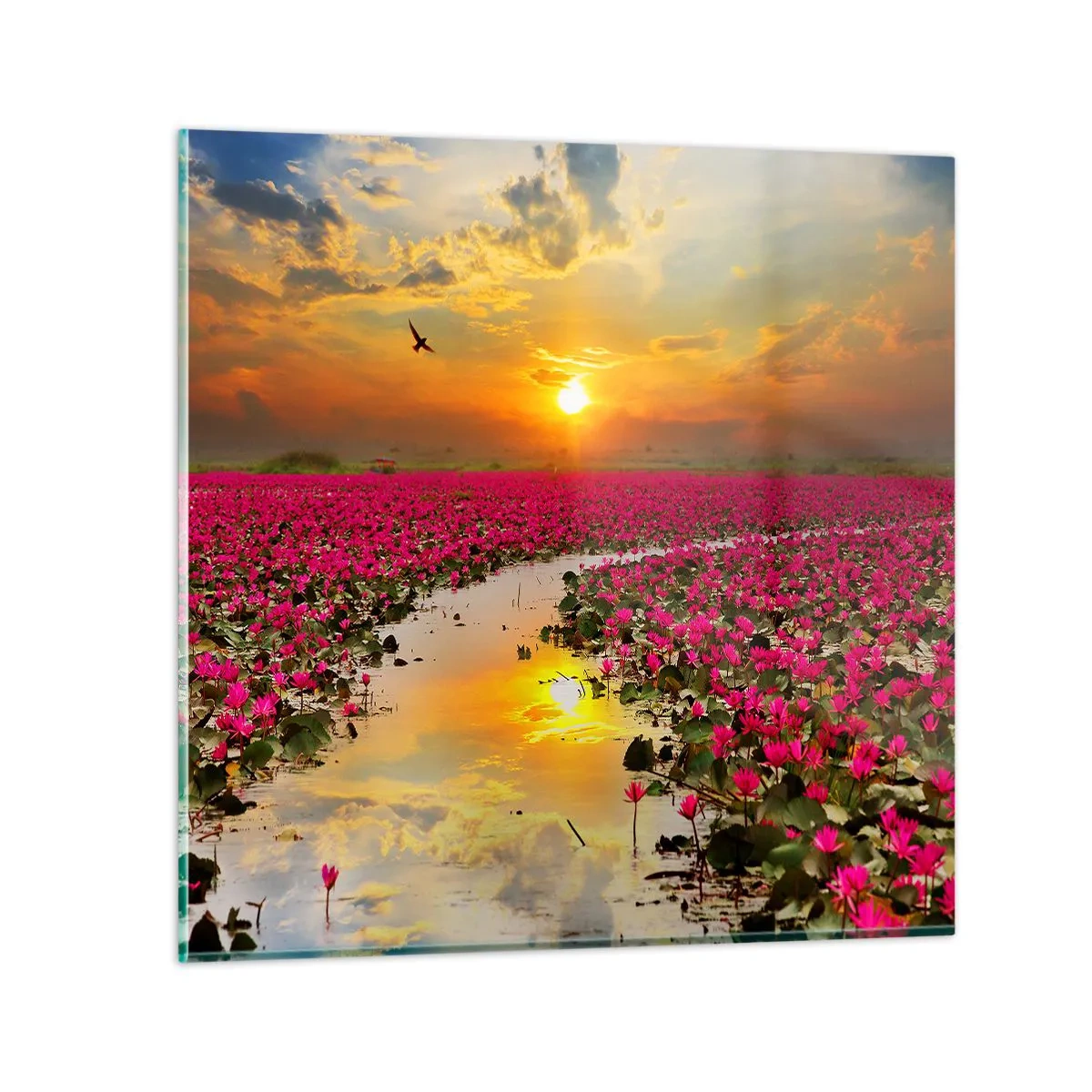 Impression sur verre - Image sur verre - La vie secrète du lac - 40x40 cm