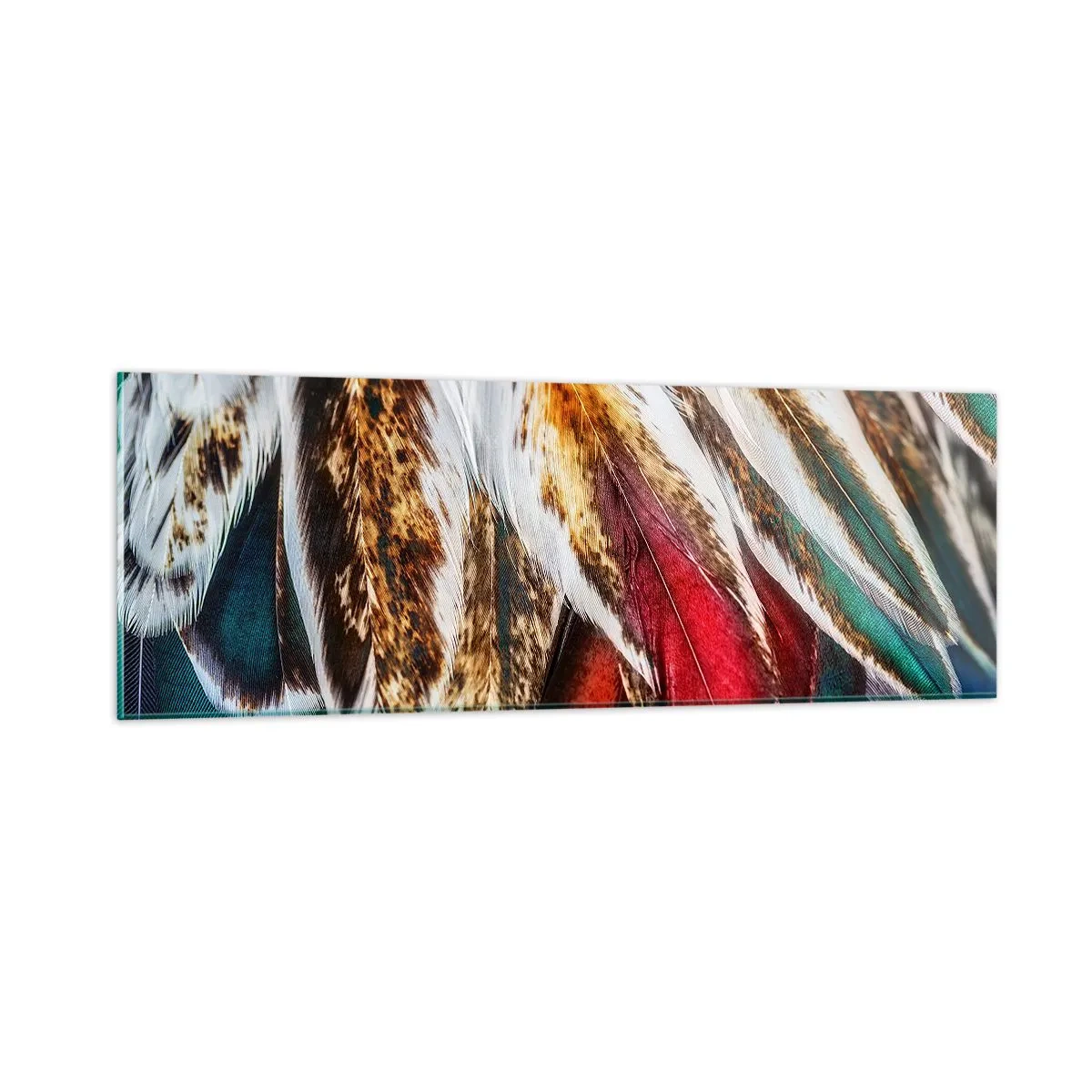 Impression sur verre - Image sur verre - Secrets de vol - 90x30 cm