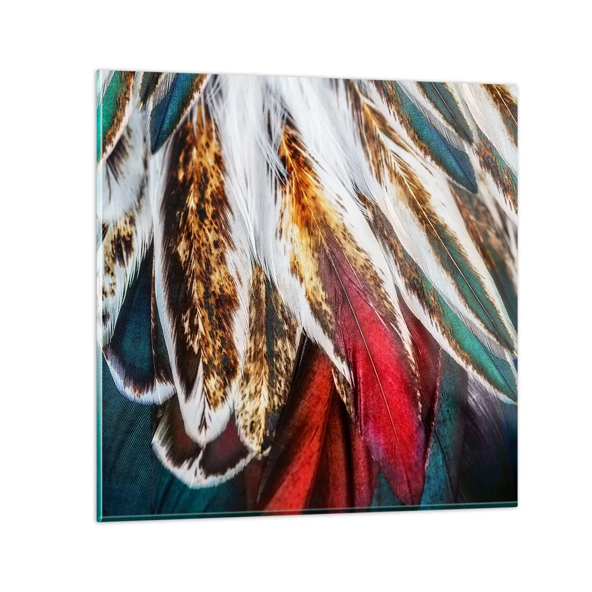 Impression sur verre - Image sur verre - Secrets de vol - 60x60 cm