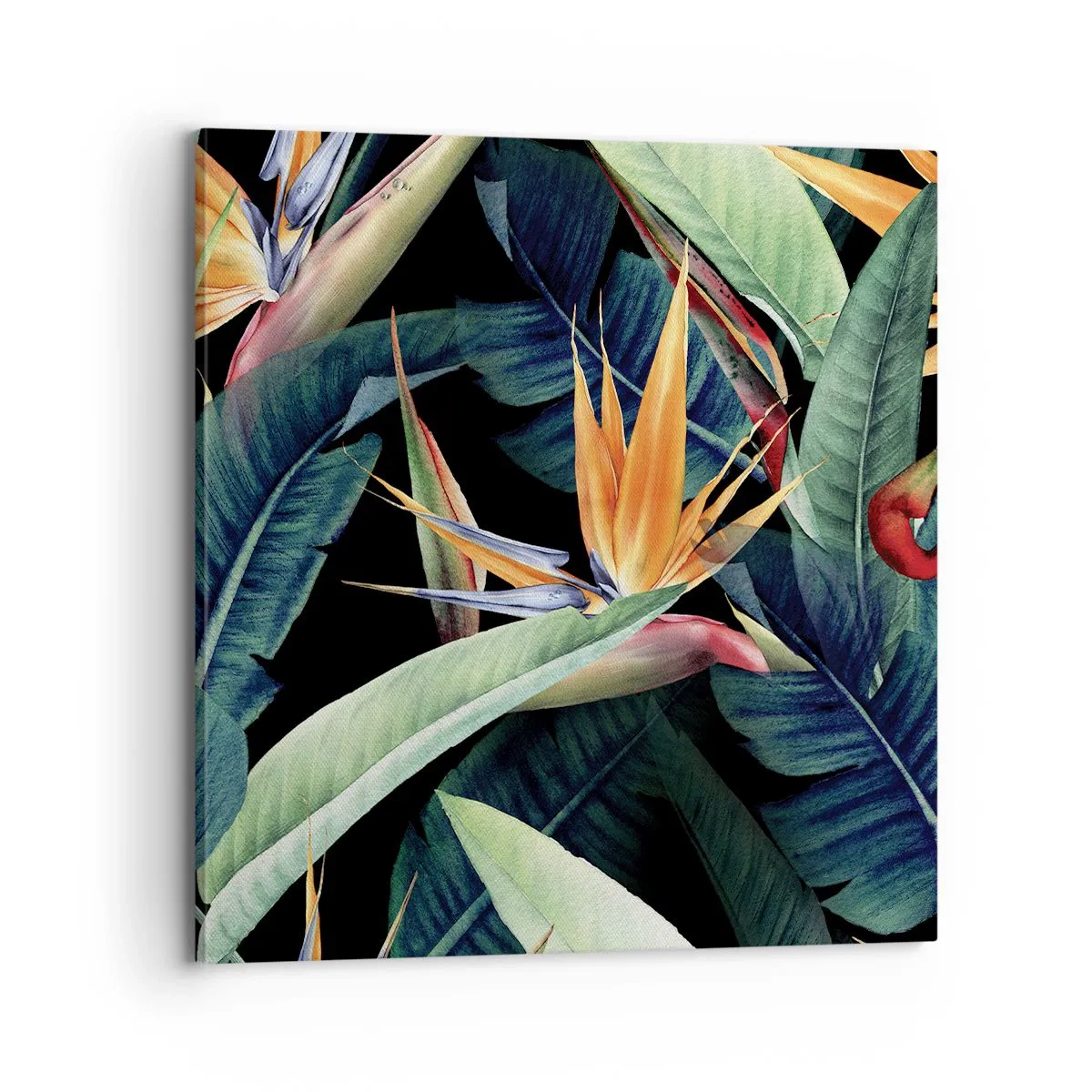 Impression sur toile - Image sur toile - Fleurs flamboyantes des tropiques - 70x70 cm