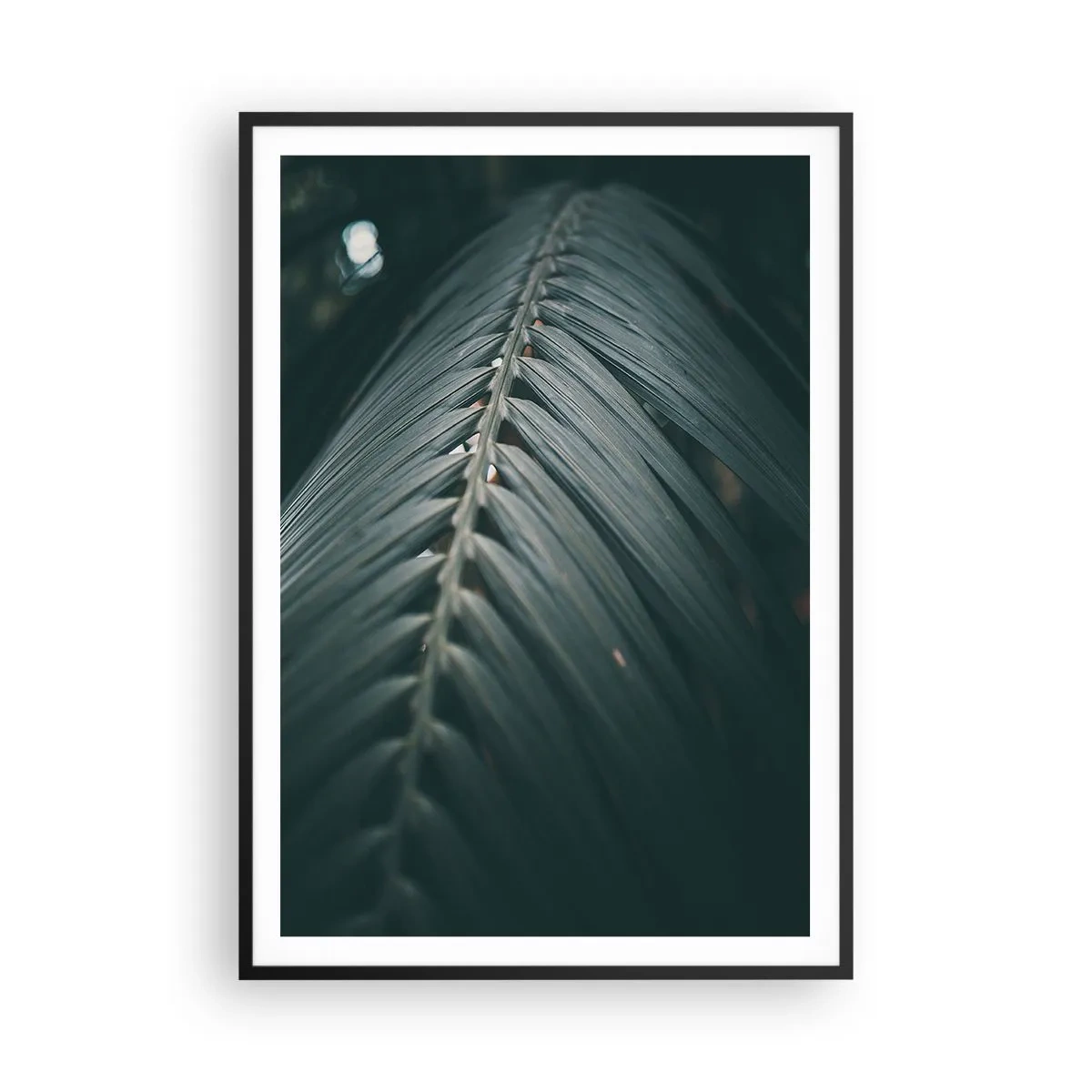 Affiche dans un cadre noir - Poster - Précision de la nature - 70x100 cm