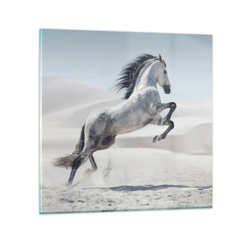 Impression sur verre - Image sur verre - Prince arabe - 30x30 cm