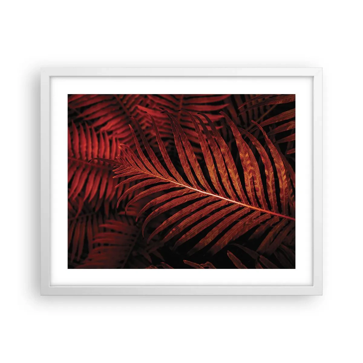 Affiche dans un cadre blanc - Poster - Chaleur de la vie - 50x40 cm