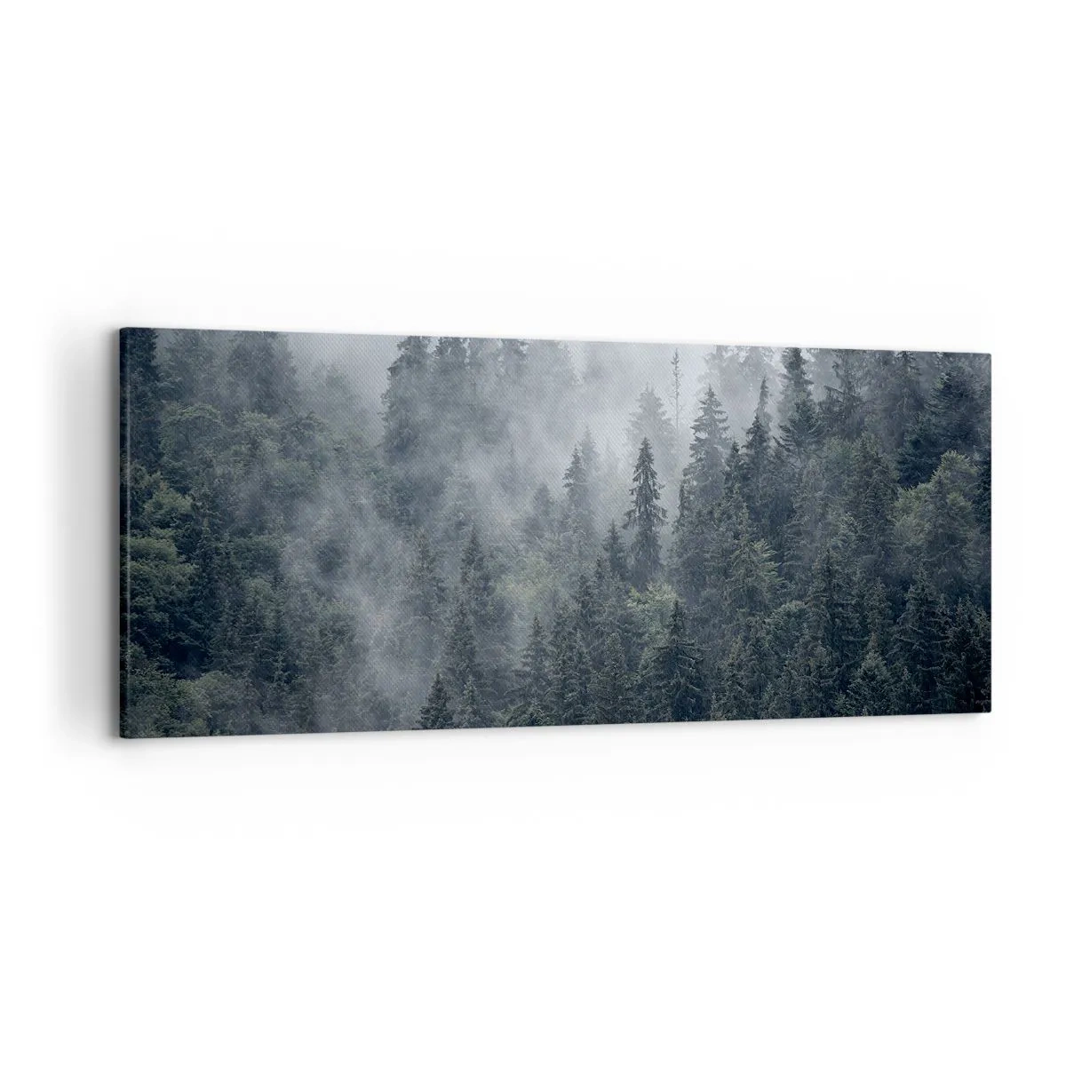 Impression sur toile - Image sur toile - Forêt de conifères brumeuse aux tons gris et verts - 120x50cm - Aube de la forêt - Décoration murale moderne pour le salon et la chambre ARTTOR