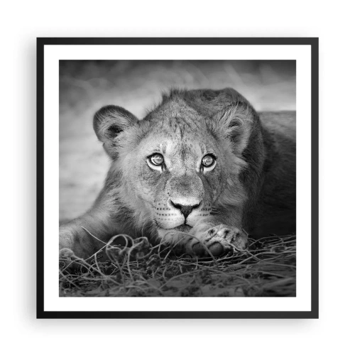 Affiche dans un cadre noir - Poster - Chiot royal - 60x60 cm